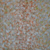 F1 - 70 x 70 cm Acryl